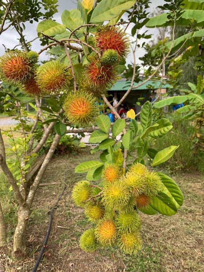Baan Suan Madam บ้านสวนมาดามวังน้ำเขียว *